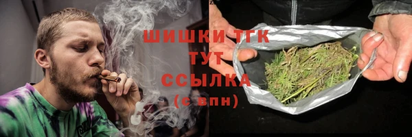 молекула духа Ивангород