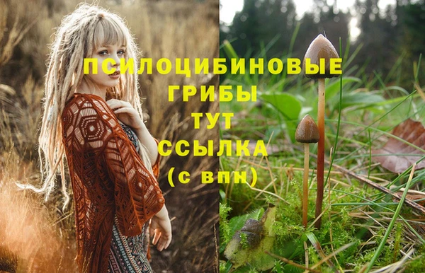 mdpv Белокуриха
