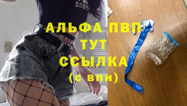 дживик Беломорск