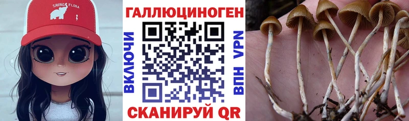 Псилоцибиновые грибы прущие грибы  цена наркотик  кракен вход  Горняк 